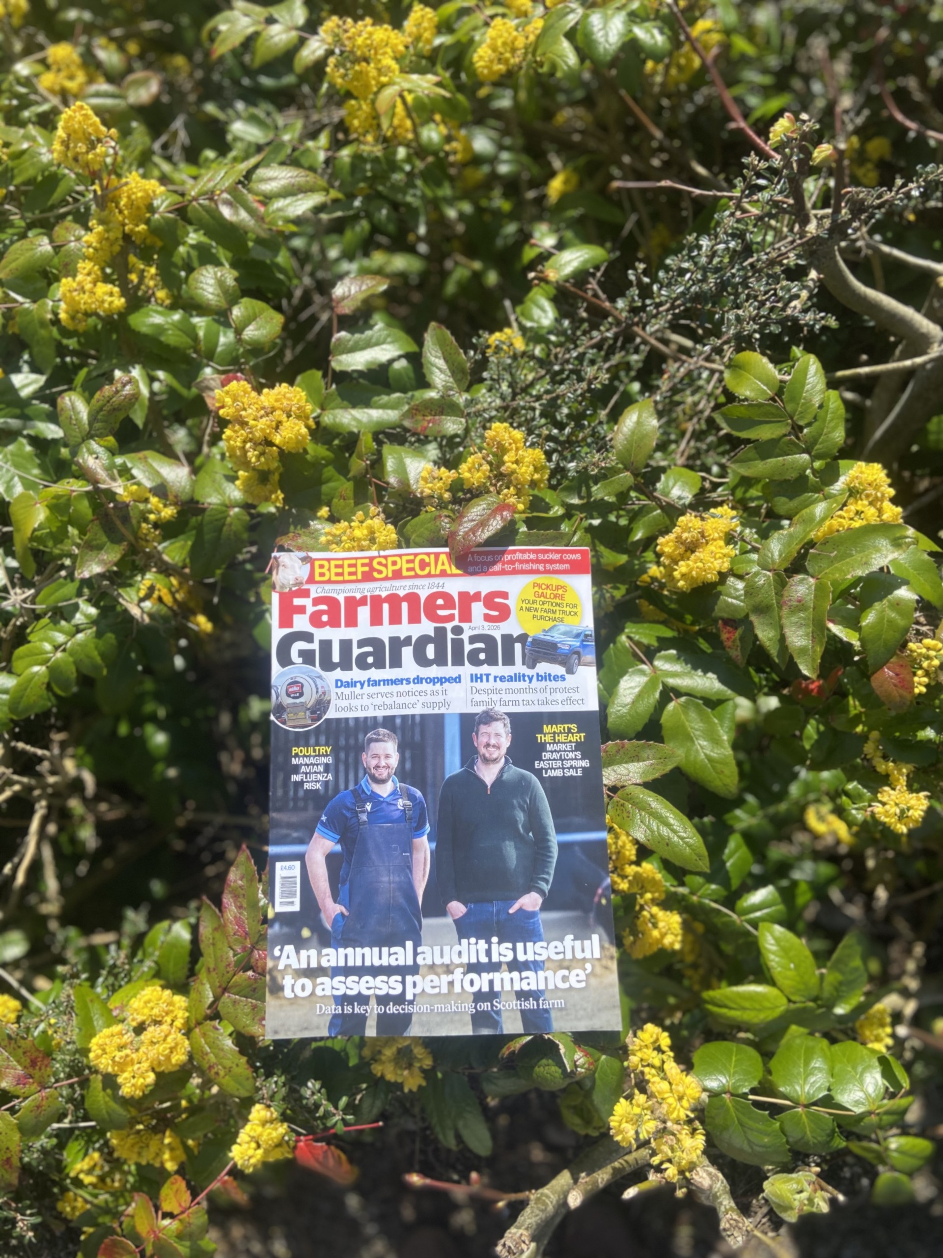 MMVT Article | Farmers Guardian