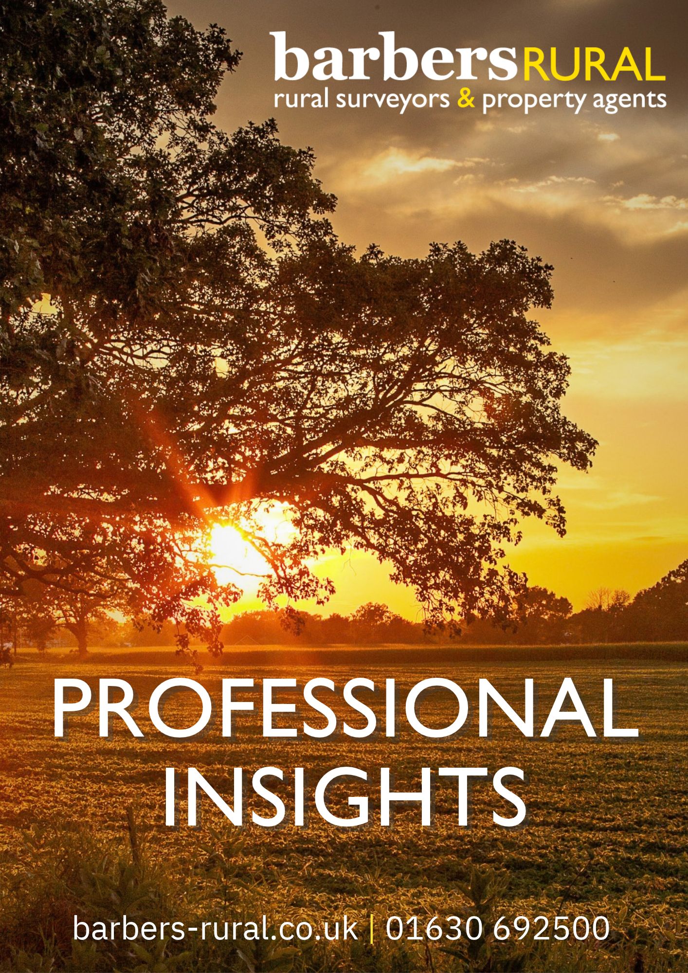 Professional Insights
