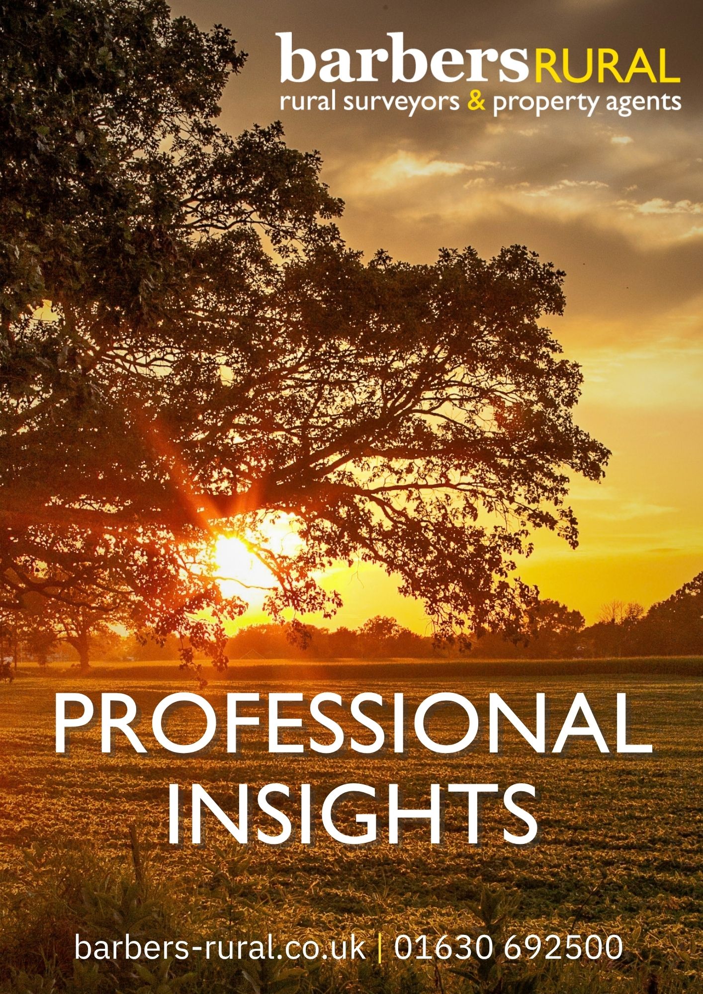 Professional Insights AW26