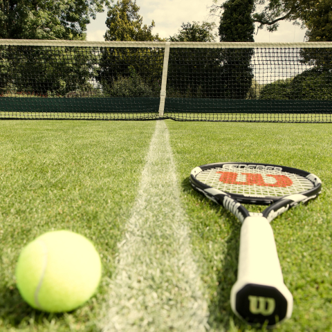 Anyone for tennis?