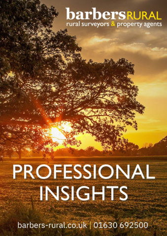 Professional Insights