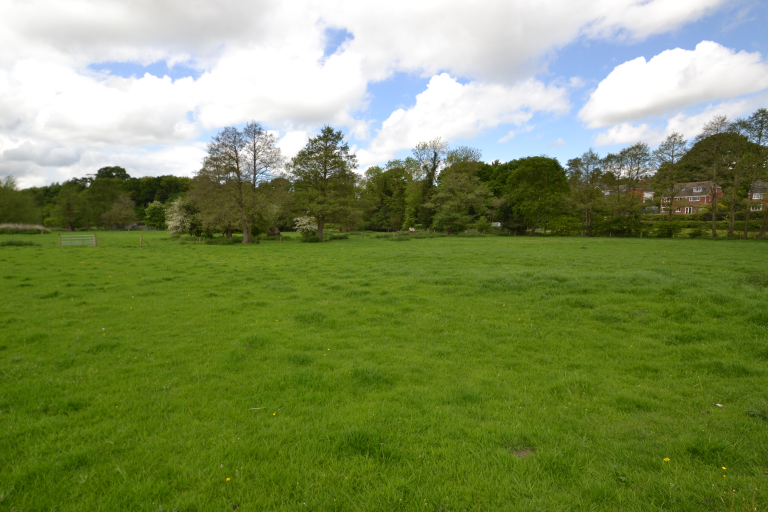 Lot 1