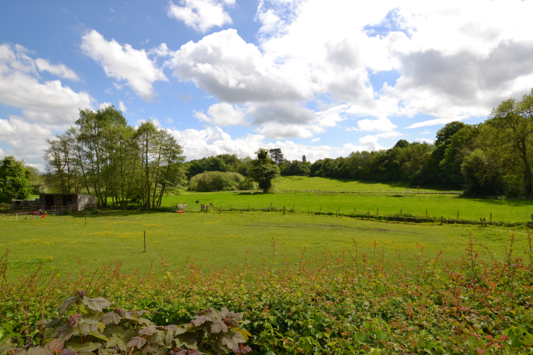Bottom Lane 1