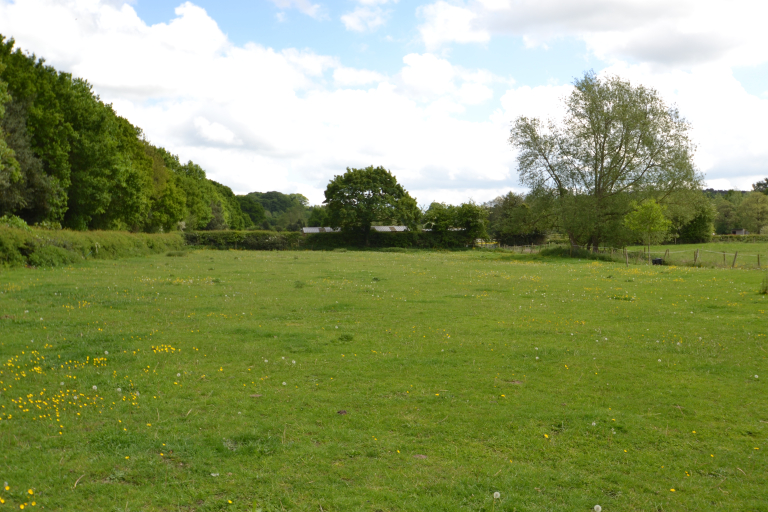 Bottom Lane 2