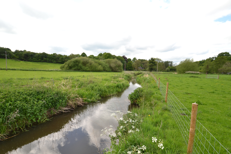 Bottom Lane 3