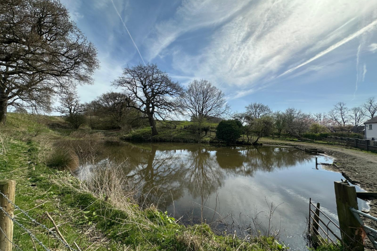 Lot 2 - Small lake