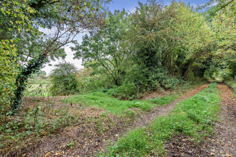 Access to paddock from the green lane