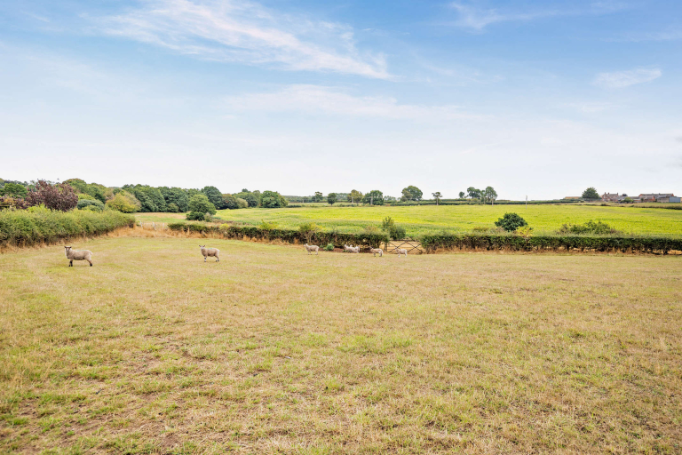 Bottom paddock