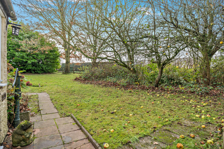 Side garden