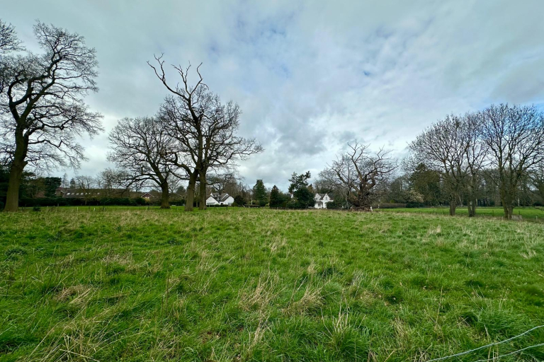 Lot 2