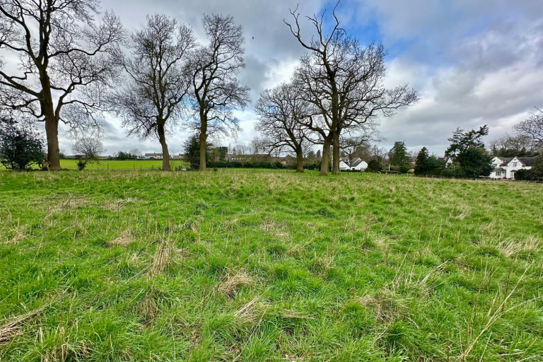 Lot 2
