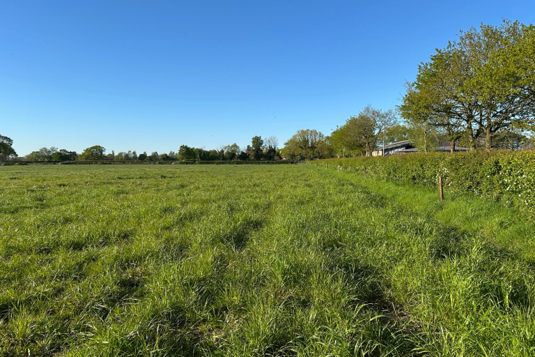 Land at Davenport Lane
