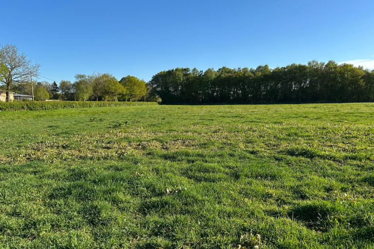 Land at Davenport Lane