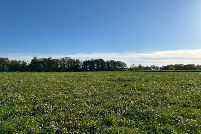 Land at Davenport Lane