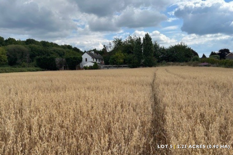 Lot 5 