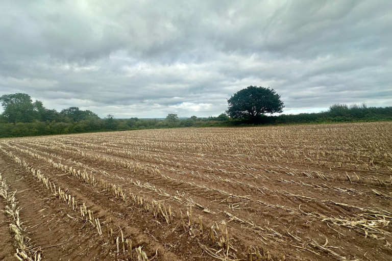 Land off London Road