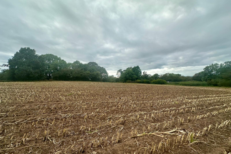 Land off London Road