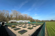 Dig Lane Nursery