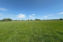 Land at Byley