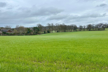 Lot 1