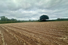 Land off London Road